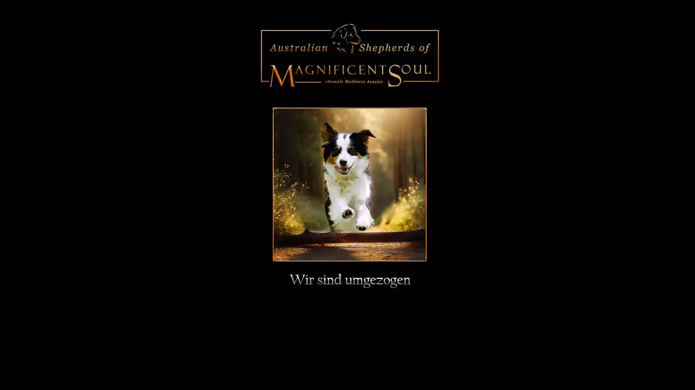 Umzug
